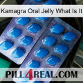 Kamagra Oral Jelly What Is It viagra2